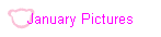 January Pictures