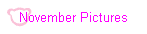 November Pictures