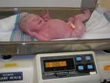 Weighing In at 5 lbs. 5oz.