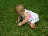 Picking grass
